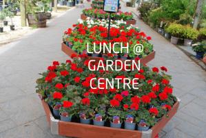 Lunch at Bridgemere Garden Centre.